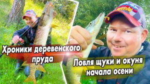 Хроники деревенского пруда |  Ловля щуки и окуня начала осени