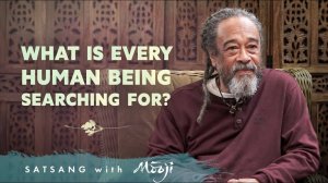 Муджи: "Что ищет каждый человек?"