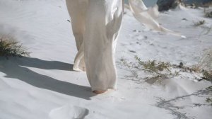 Iveta Mukuchyan - Ay Ay Ay