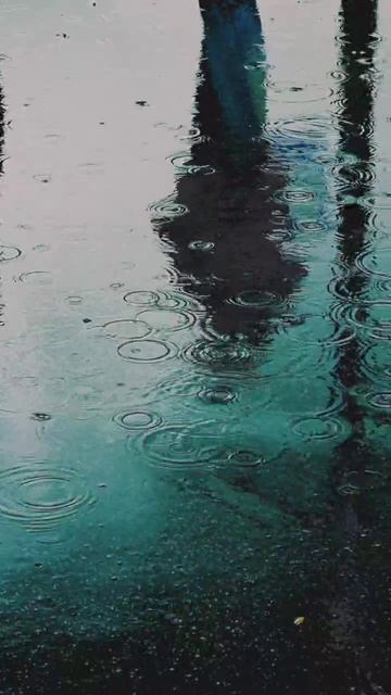 В городе дождь  !