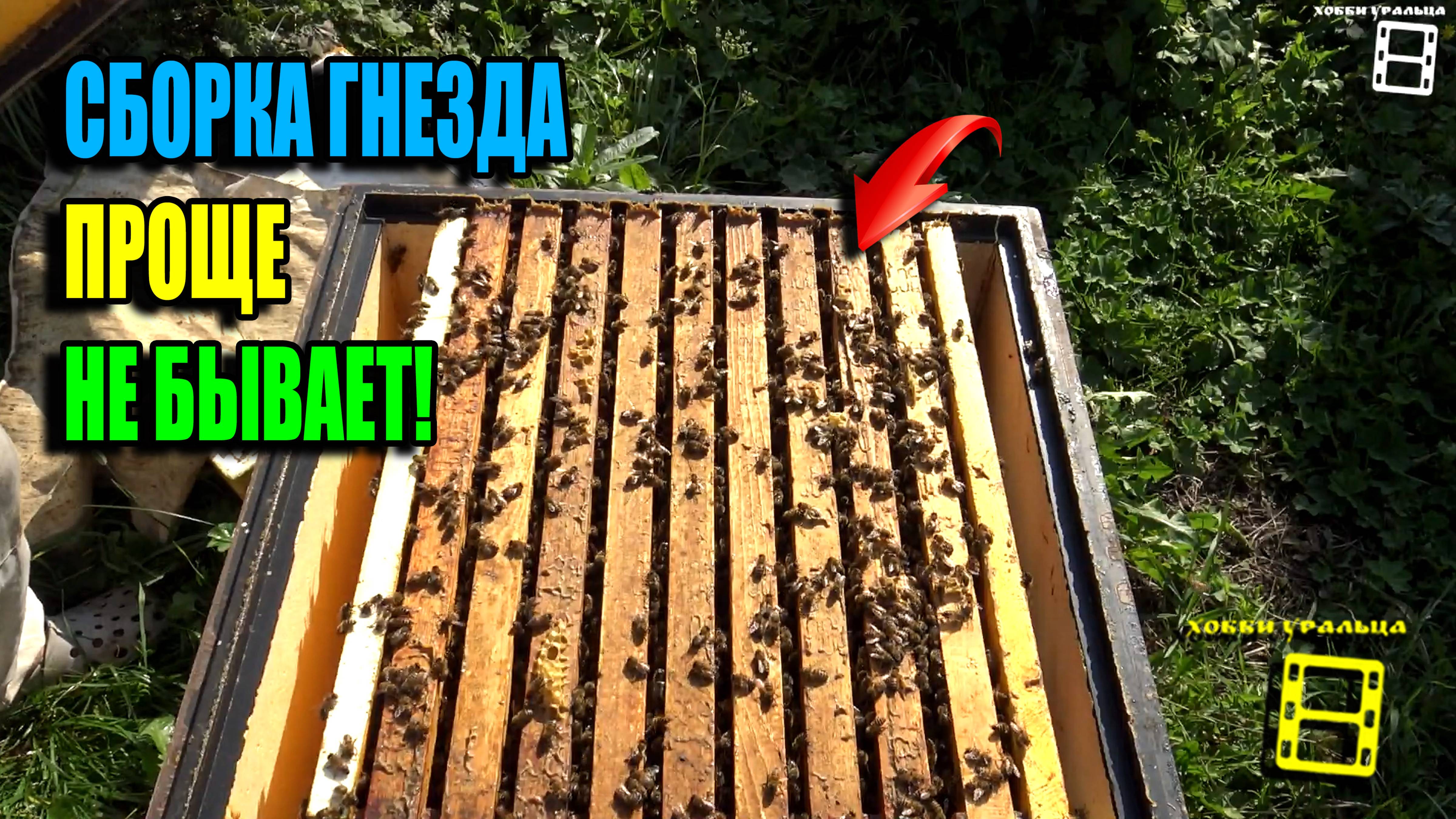 ПРОСТЕЙШАЯ СБОРКА ПЧЕЛИНОГО ГНЕЗДА В ЗИМУ И КОНТРОЛЬ КОРМОВ. ПЧЕЛОВОДСТВО 25-34 смотреть онлайн