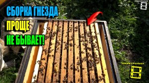 ПРОСТЕЙШАЯ СБОРКА ПЧЕЛИНОГО ГНЕЗДА В ЗИМУ И КОНТРОЛЬ КОРМОВ. ПЧЕЛОВОДСТВО 25-34