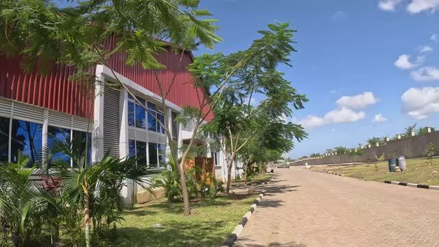 САМЫЙ БОЛЬШОЙ ЦЕРКОВНЫЙ САД на МОМБАСЕ смотреть онлайн