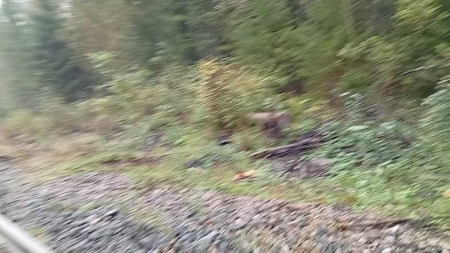 пути в видео смотреть онлайн