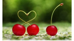 ПЕСНЯ: "ТЫ МОЯ НЕЗВАНАЯ ГОСТЬЯ".