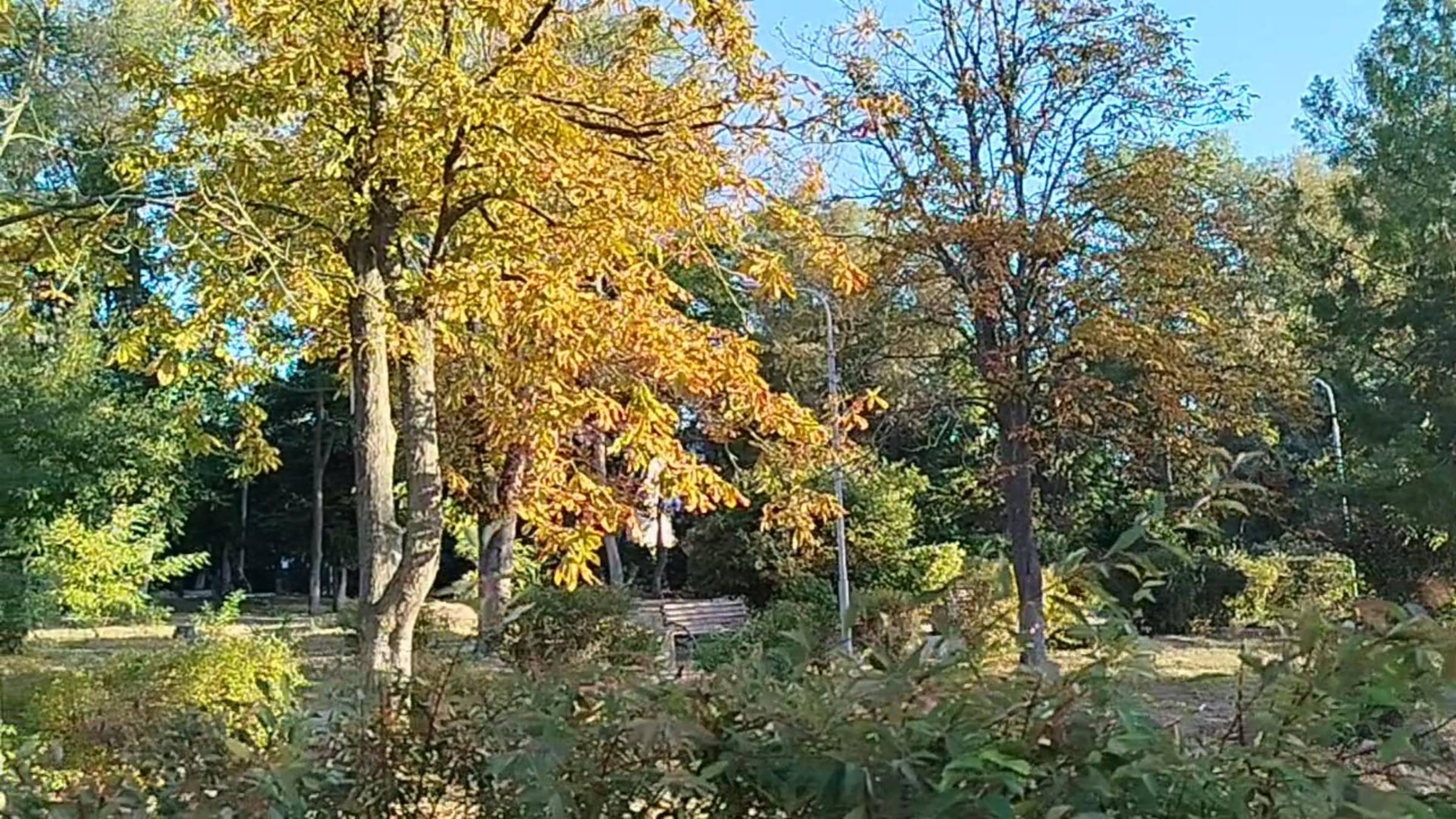 Прогулка под музыку утра. смотреть онлайн