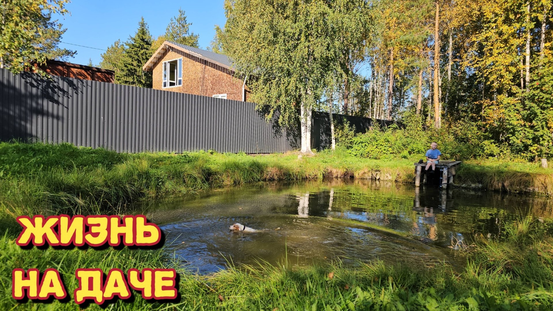 Приехали гости/взяли собак и ушли с подругой за грибами/вы такое видели? смотреть онлайн