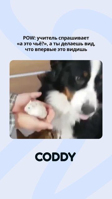 С каждым было? 😆 смотреть онлайн