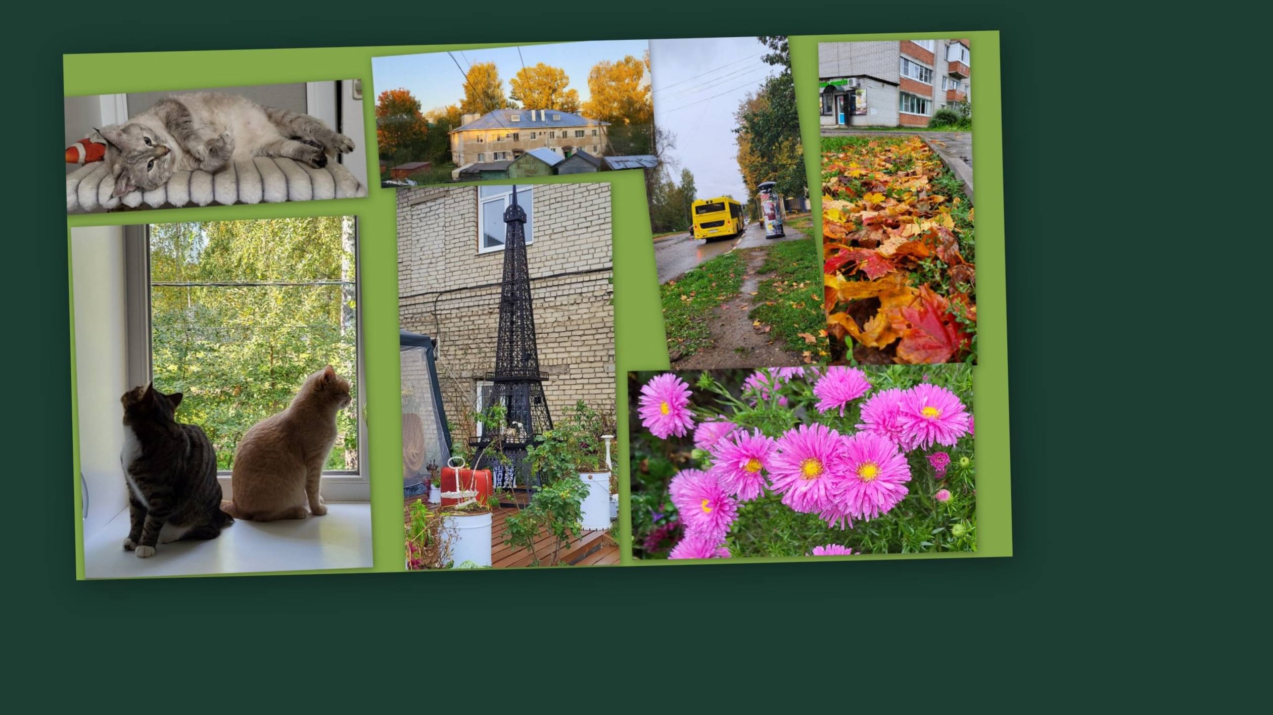 ВЛОГ: ПОД ДОЖДЕМ... смотреть онлайн