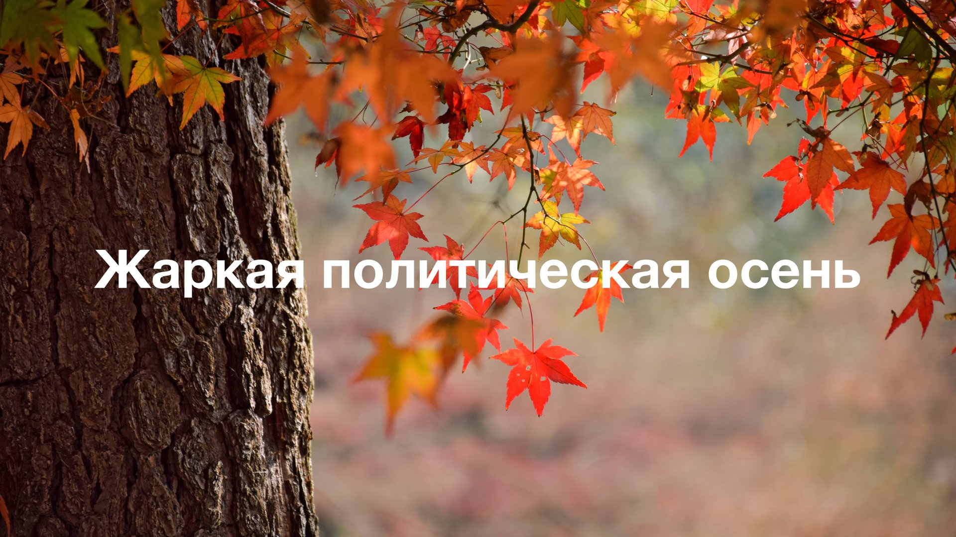 Жаркая политическая осень. смотреть онлайн