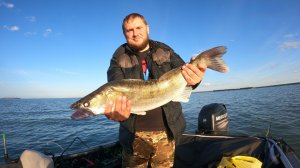 Судак Монстр Сломал Спиннинг Narval Argument 82H Cast