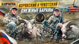 Охота на Камчатке | СНЕЖНЫЕ БАРАНЫ Камчатский и Чукотский | Горная охота