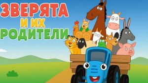Синий Трактор｜Зверята и их Родители｜Синий Трактор для малышей смотреть | Учим животных