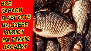 НАСАДКА ДЛЯ ЛОВЛИ КАРАСЯ В АВГУСТЕ НА УДОЧКУ #насадкадлякарася #рыбалканакарася #дмитрийбуторов