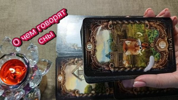 ПОСЛАНИЕ ПРЕДКОВ🔥