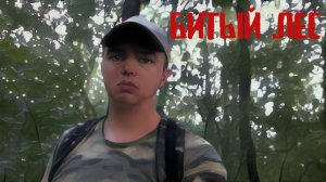 Продолжаю искать в копанном лесу | Вот такие вот находки