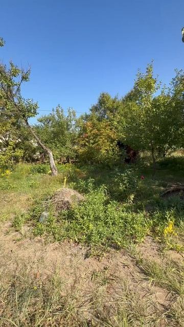 Вин Дизель😎