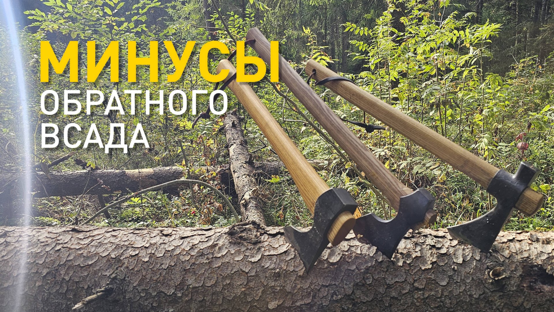 Мифы обратного всада. Сравнение томагавков Аники, Феникса и Топорсиба. смотреть онлайн