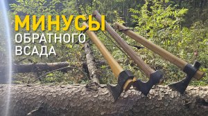 Мифы обратного всада. Сравнение томагавков Аники, Феникса и Топорсиба.