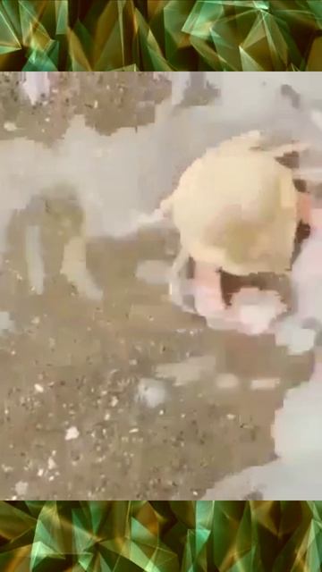 Мой сыночек - никому не отдам смотреть онлайн