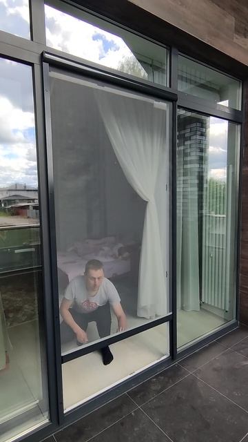 москитная сетка