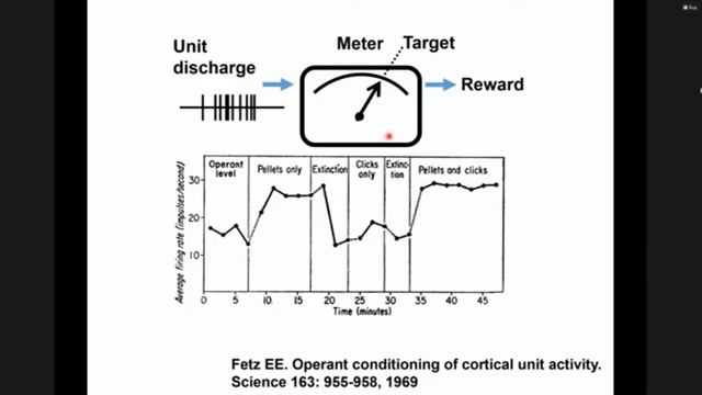 NeuroSchool. День 1 Часть 2 смотреть онлайн