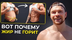Почему жир с живота не уходит, даже если ты всё делаешь правильно
