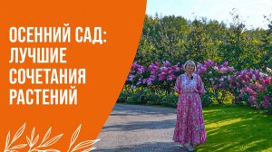 Осенний сад: лучшие сочетания растений | "Питомник Савватеевых"