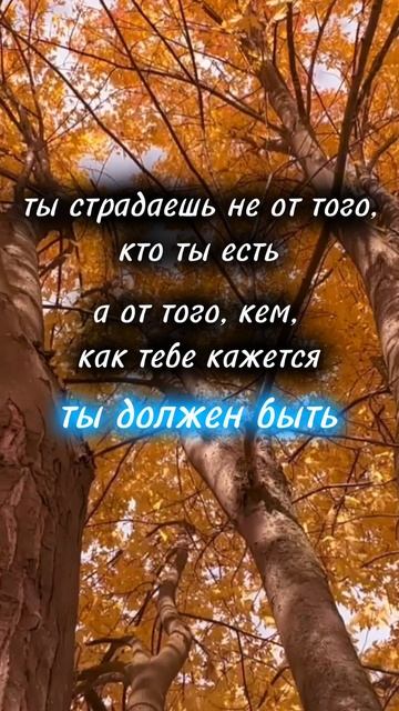 ты страдаешь не от того, кто ты есть, а от того, кем, как тебе кажется, ты должен быть
