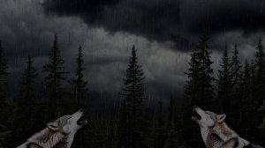 Звук природы. Дождь. Природа. Буря с дождем _ Звук грома с воем волков