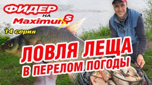Фидер на Максимум! Серия 14. Ловля леща в перелом погоды