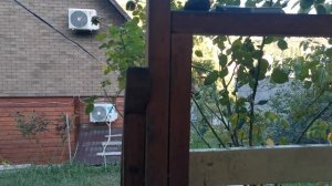 СОЧИ. ВОЗДУШНАЯ ТРЕВОГА