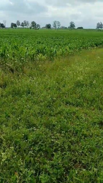 Бурение скважины на воду в поле в Минске и РБ  #скважина  #бурениескважин  #беларусь  #дача