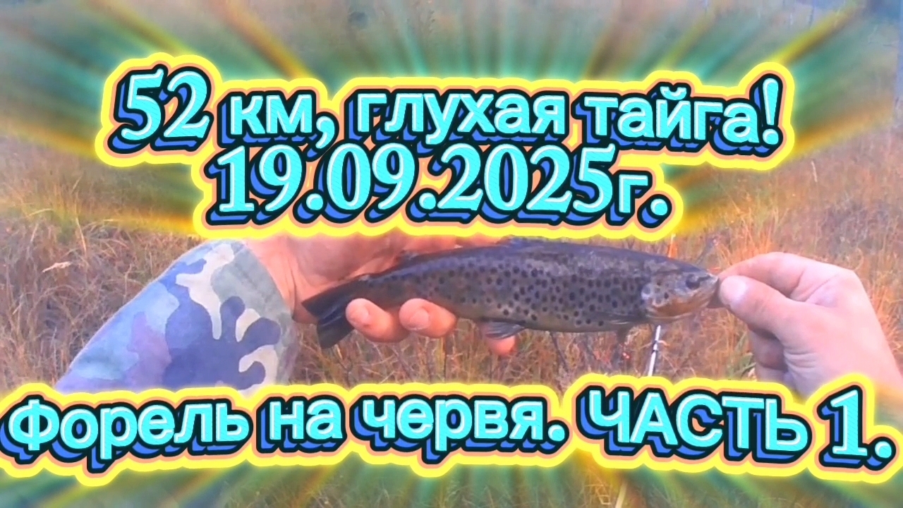 ФОРЕЛЬ НА ЧЕРВЯ! 52 КМ. ГЛУХАЯ ТАЙГА. ЧАСТЬ 1. НАЧАЛО. #форель #fishing #recommended #rek #природа