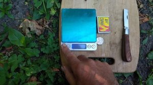 Гф Джина селекции Гусева С. Э с потрясающим мускатом.