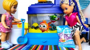 СТАЛ РЫБОЙ 🐠 на 24 часа!🤣 Катя и Макс веселая семейка Барби куклы СМЕШНЫЕ истории Даринелкатв
