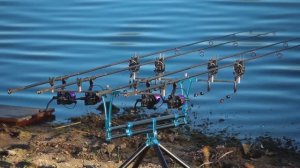 Рыбалка на КАРПА