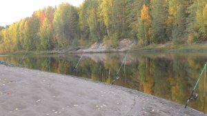 ОДИН НА РЕККЕ, ЧЕРЕЗ ПЕРЕКАТЫ ЗА НАЛИМОМ! ПОПАЛ НА ЖОР, ЗОЛОТАЯ ЗАКИДУШКА \ РЫБАЛКА С НОЧЁВКОЙ.
