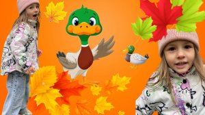 Дикие утки стали ручными!