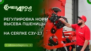 Регулировка норм высева пшеницы на сеялке СЗУ-2,1.