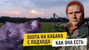 ОХОТА НА КАБАНА С ПОДХОДА! КАК ОНА ЕСТЬ!