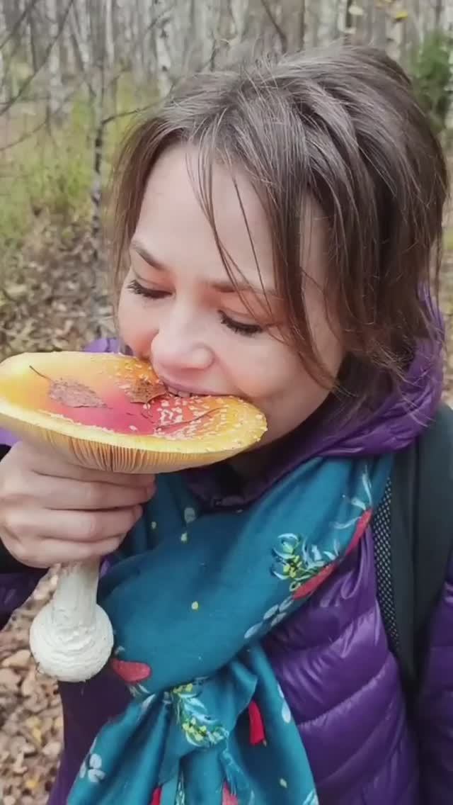 Идеальный перекус диабетика - грибы! смотреть онлайн