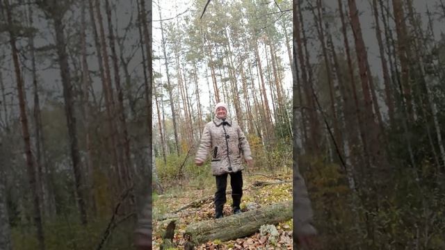 Танцы💃 💃 💃 смотреть онлайн