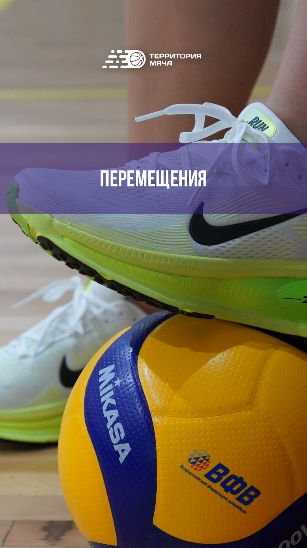 🐅 Хочешь быстро перемещаться по площадке? смотреть онлайн