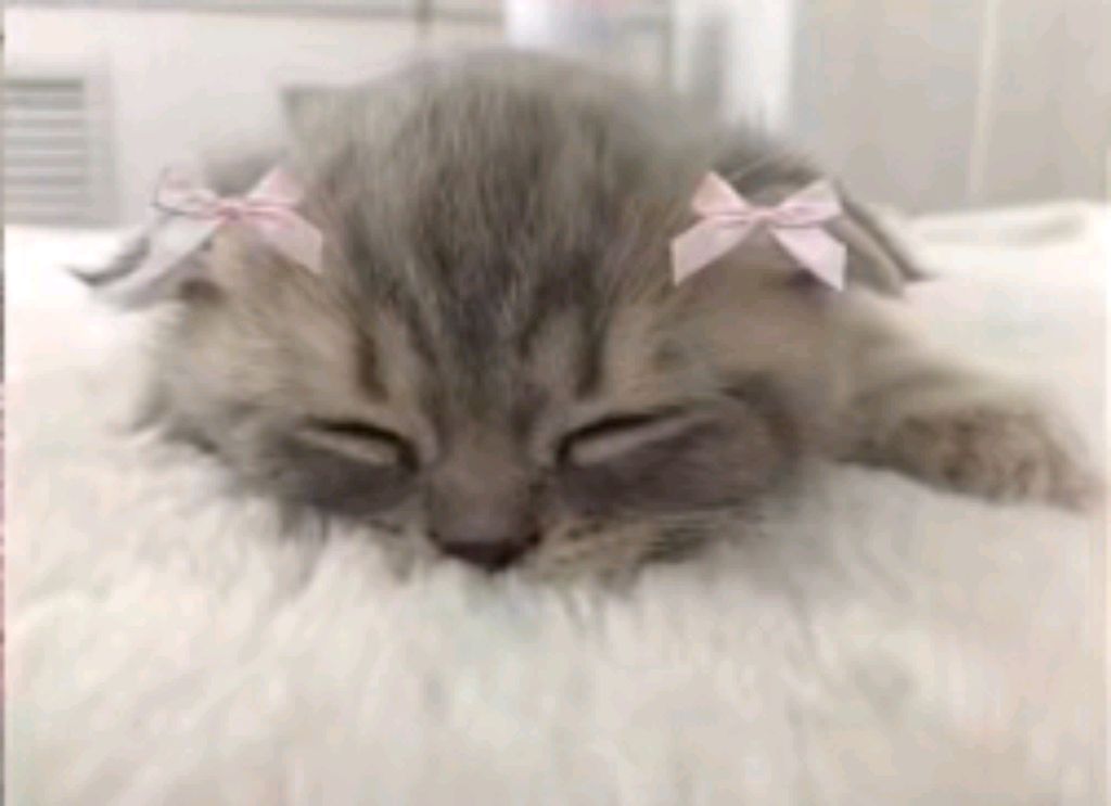 а если захотелось в садик