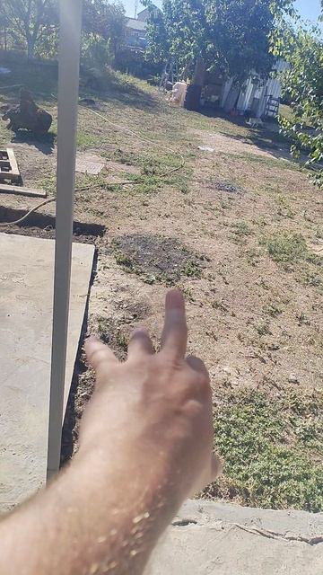 VID_20250924_093332.mp4