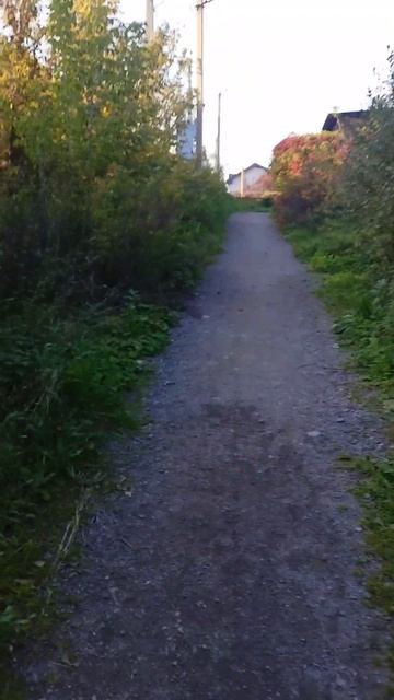 Страшно тут ходит даже по-начам . смотреть онлайн