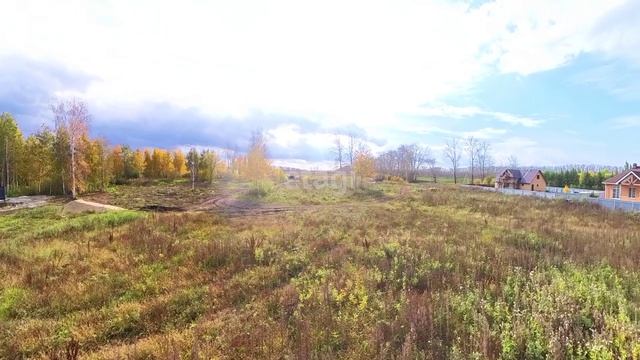 9910835 смотреть онлайн