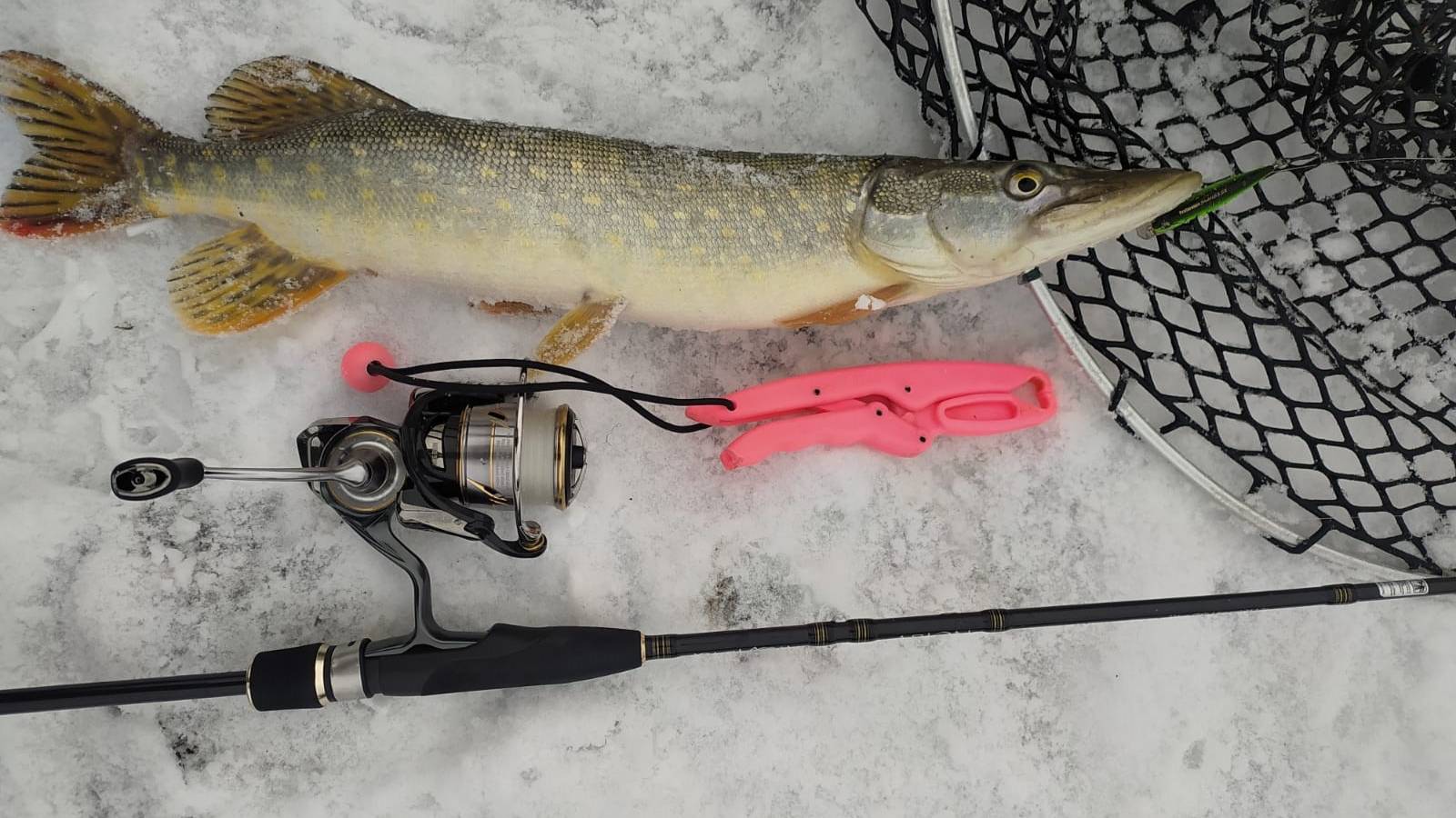 Десна у мостов, 28 ноября 2024 года