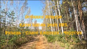 Осенняя Мещера. Едем вдоль реки ПРА